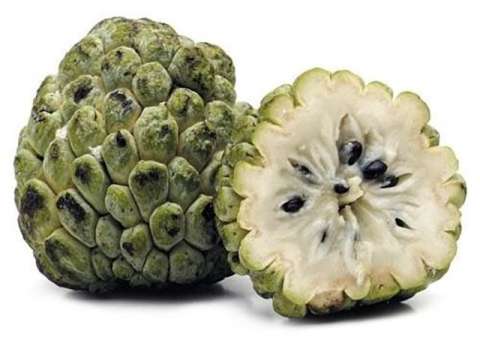 Fruta auxilia no tratamento contra colite crônica