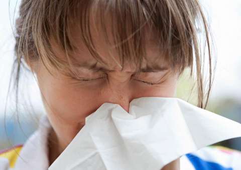 Fruta assada no forno pode combater infecções nas vias respiratórias 