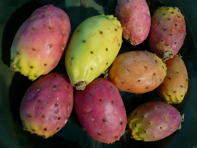 Fruta assada no forno pode combater infecções nas vias respiratórias 