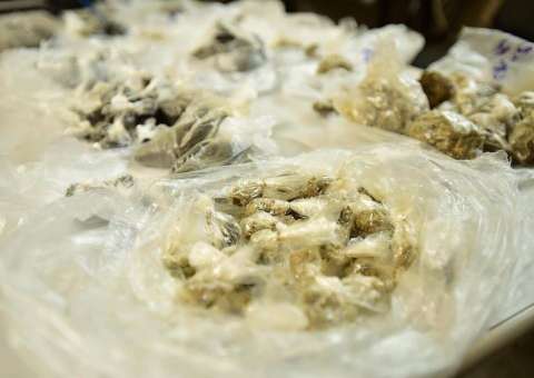 Rotina de revistas encontra mais 39 trouxinhas de drogas e 5 celulares em cadeia do Amazonas