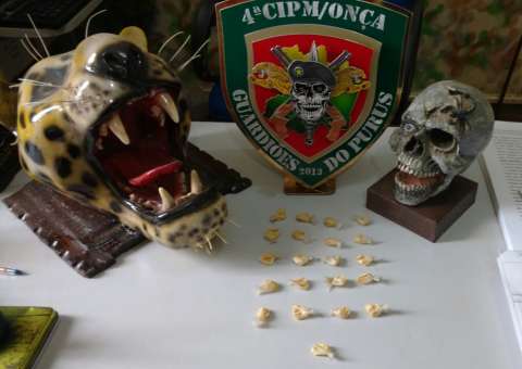 4 adolescentes são apreendidos por tráfico de drogas no Amazonas 