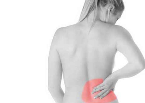 Depurativa e diurética, planta ajuda no tratamento de doenças renais 