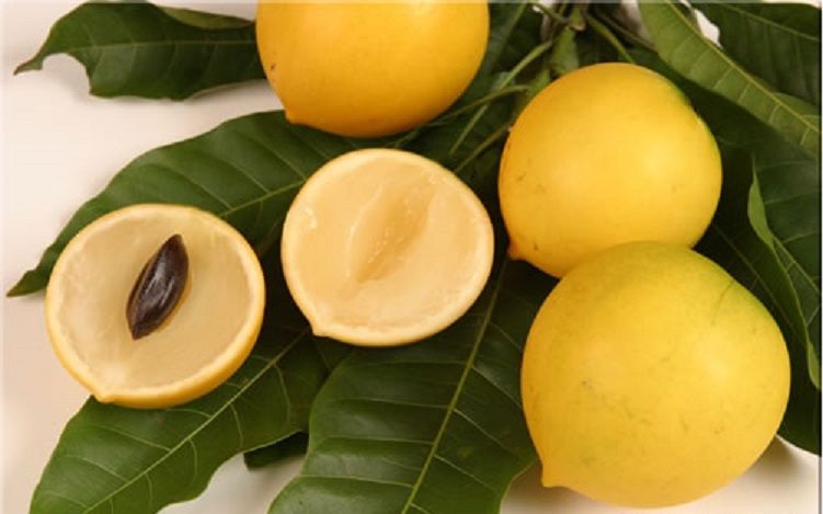 Rica em vitaminas e sais minerais, fruta ajuda a combater doenças