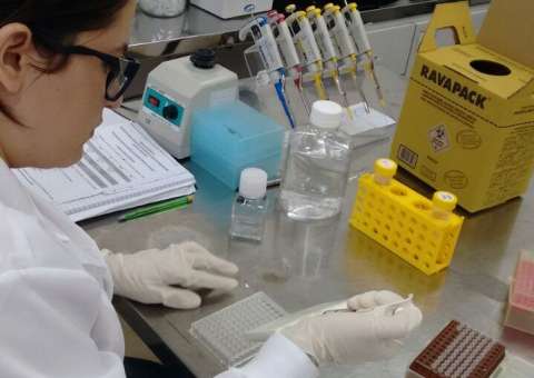  INPA abre inscrições para  Programa de Iniciação Científica