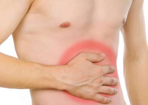 Anti-inflamatória, planta trata distúrbios gastrointestinais