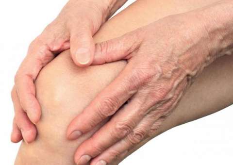 Reumatismo pode ser combatido com pomada e óleo de planta 