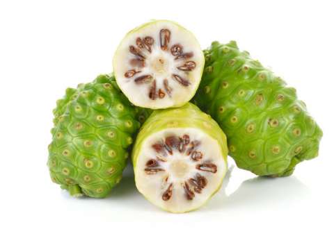 Conheça 9 benefícios do Noni para a saúde