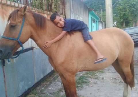 Ladrão devolve cavalo furtado após saber que dono não podia sofrer ‘emoções fortes'