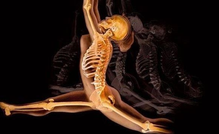 Abertas inscrições para o curso de Especialização em Biomecânica