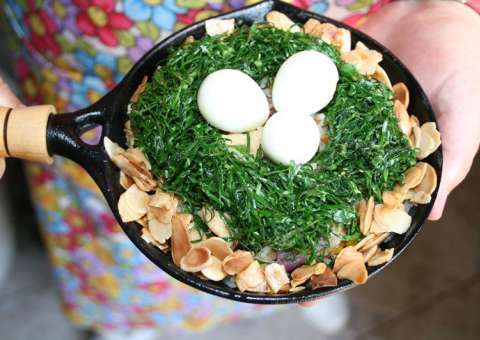 De cerca viva a tempero rico em proteínas