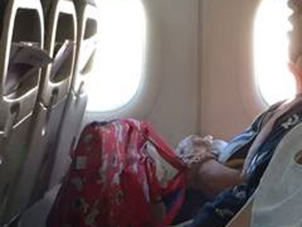 Passageira é retirada de voo após embarcar com cachorro em bagagem de mão