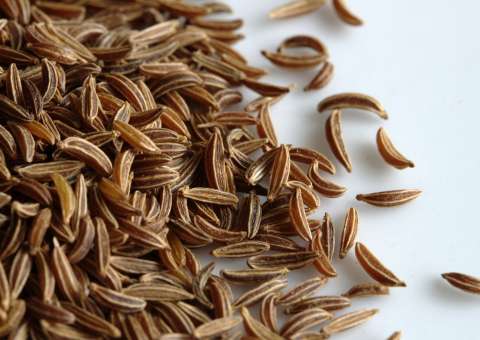 Sementes de tempero milenar combatem dores de estômago e cólicas em crianças 