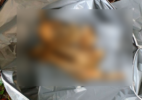 Ossada humana é encontrada em matagal no AM