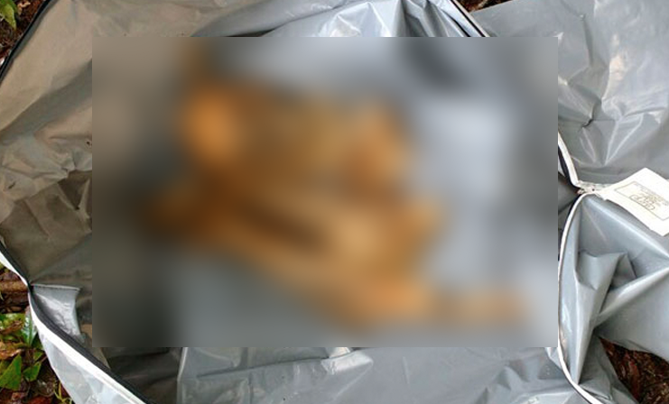 Ossada humana é encontrada em matagal no AM