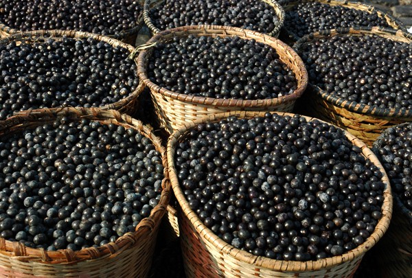 Conheça 8 benefícios do açaí para a saúde