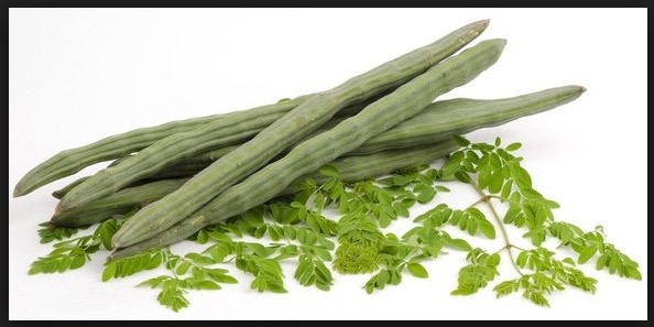 Planta é considerada “carne verde” por apresentar benefícios para a saúde