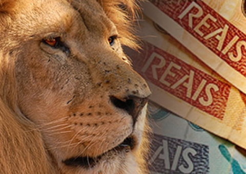 Mais de 300 mil amazonenses devem fazer declaração do IR 2017; Veja as novidades