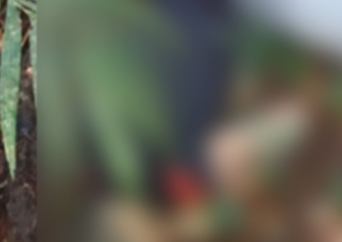 Corpos encontrados em ramal são de foragidos da Cadeia Pública