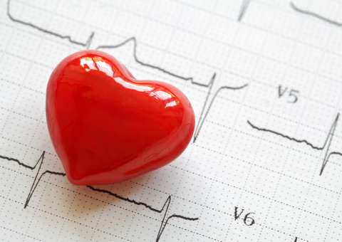 Substância de planta tem benefícios para o coração