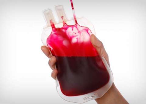 Planta ajuda a purificar o sangue e tem propriedades diuréticas 