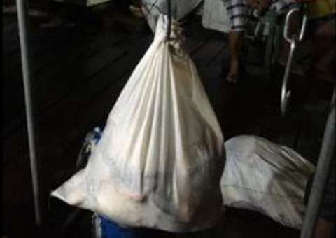 100kg de peixe proibido durante o 'defeso' são encontrados em feira de Manaus