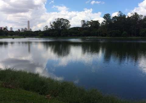 Corpo de recém-nascida é achado boiando em lago 