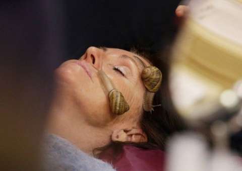 Massagem feita com caramujo é destaque em Feira Internacional