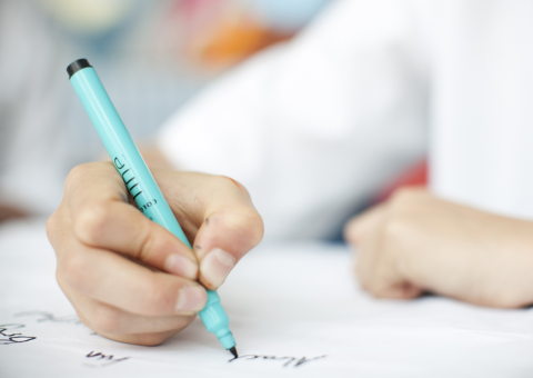 Escolas municipais de Manaus recebem Caravana da Cidadania Ambiental