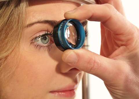 Planta auxilia no tratamento contra glaucoma e leucemia 