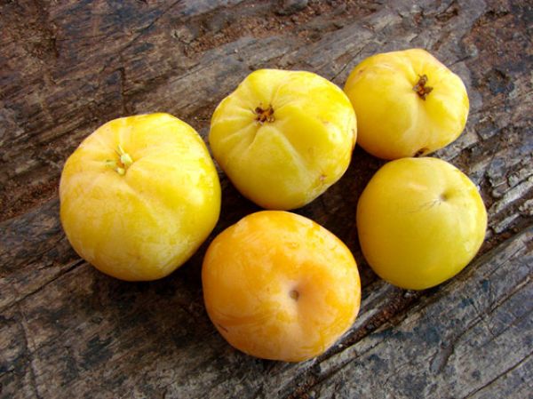 Com sabor semelhante ao do Araçá, fruta pode ser usada como laxante natural 