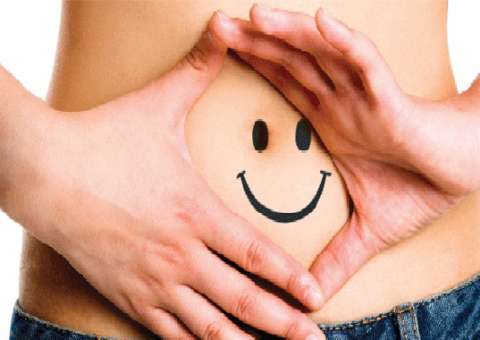 Usada na culinária, erva estimula apetite e melhora a digestão