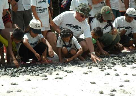 Projeto Pé-de-Pincha realiza soltura de quelônios  
