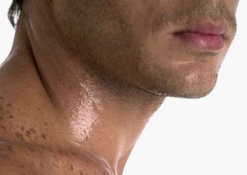 Sementes e óleo de planta causam efeitos colaterais 