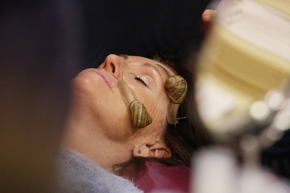 Massagem feita por caramujos promete ser nova fórmula da juventude