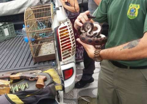 Operação prende 4 traficantes e resgata 70 animais em Praia Grande