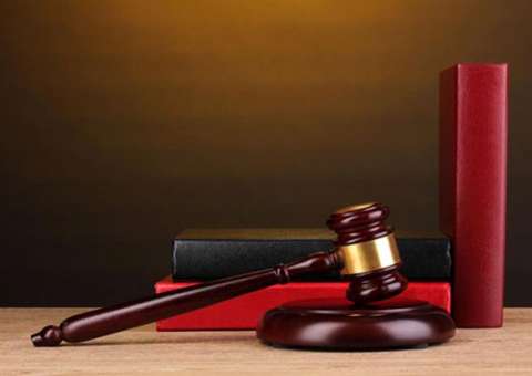 Mês da mulher: Conpej oferece descontos especiais em curso de Perícia para mulheres 