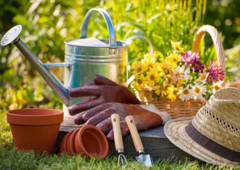 Noções Básicas de Produção de Mudas abre inscrições gratuitas para minicursos 