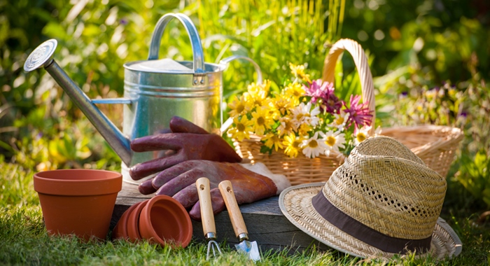 Noções Básicas de Produção de Mudas abre inscrições gratuitas para minicursos 