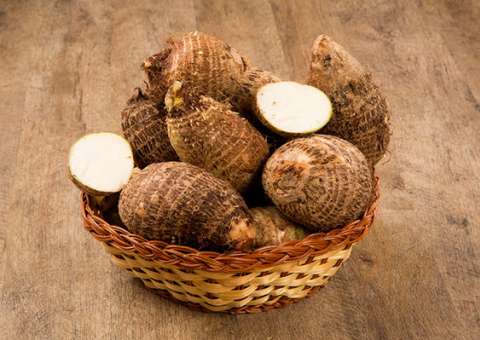 Raiz usada na culinária brasileira apresenta propriedades anti-inflamatória e energética 