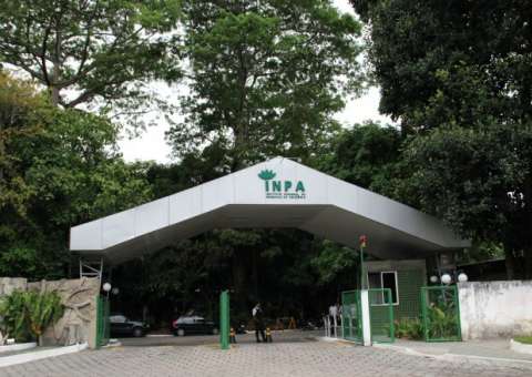 Inpa seleciona bolsistas para projeto bilateral com os EUA
