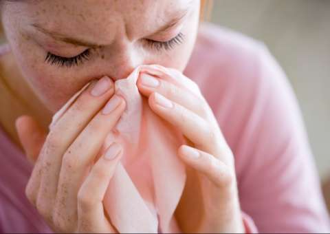 Chá de planta é indicado para combater glaucoma e pneumonia 