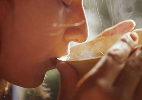 Planta com indicações medicinais é considerada tóxica se usada em doses elevadas