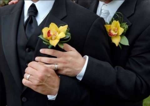 Comissão do Senado aprova união estável entre pessoas do mesmo sexo  