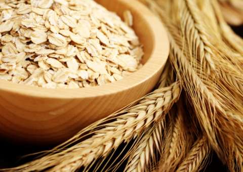 Erva com benefícios medicinais pode facilitar partos difíceis 