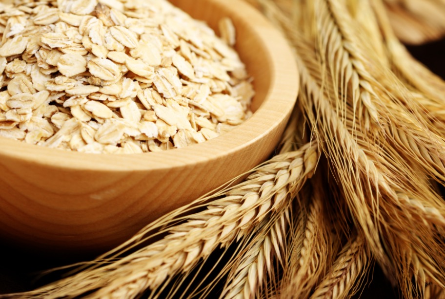 Erva com benefícios medicinais pode facilitar partos difíceis 