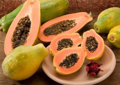 Anti-cancerígeno poderoso, mamão é um grande amigo da sua saúde