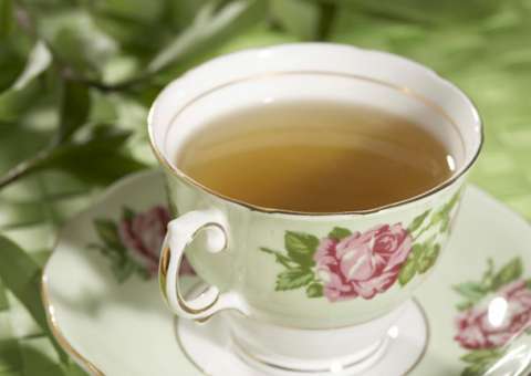 Planta nativa do Brasil é usada como abortiva 