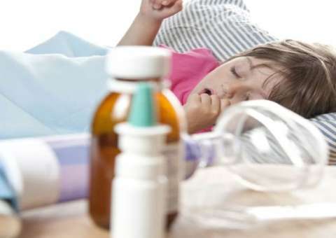 Espécie de cará é considera antiasmática