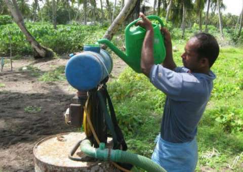 Especialistas da ONU recomendam banir o uso de pesticidas na agricultura