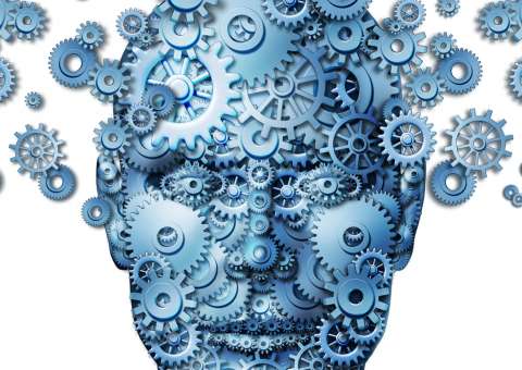 Conheça 5 ervas capazes de melhorar a saúde do cérebro